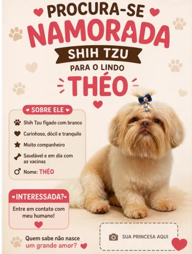 Procura uma namorada 