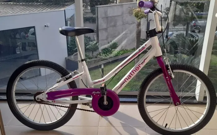 Bicicleta Infantil - Aro 20