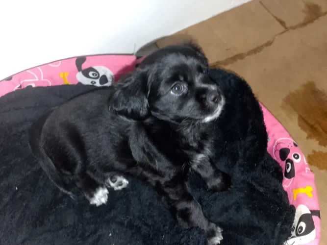 Zoe 