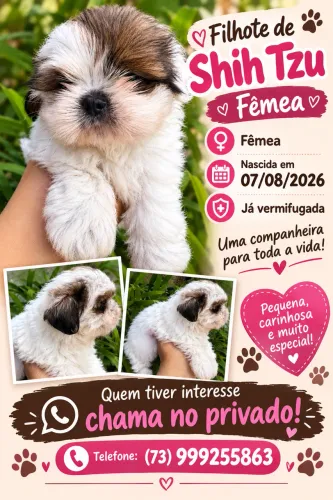 Disponível 