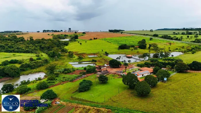 Chácara de Alto Padrão na Beira da GO-070 | 5,15 Alqueires