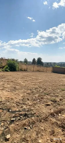 Lote 26 de setembro parcelado avalia carro