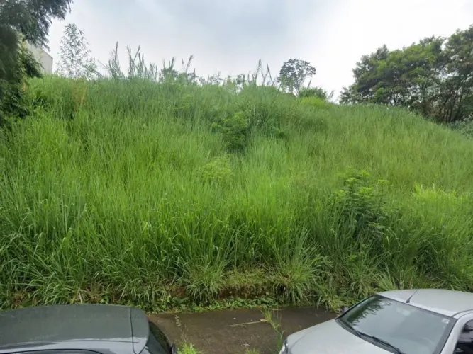 Terreno 477 m² - Santa Lúcia - Belo Horizonte - MG
