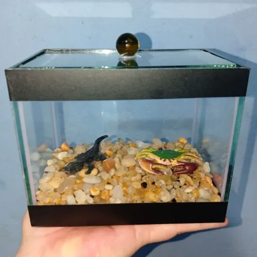Mini aquário completo