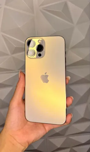 IPhone 13 Pro Max impecável