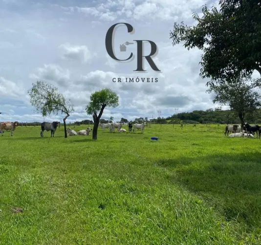 Fazenda em Morrinhos - Região da Serra