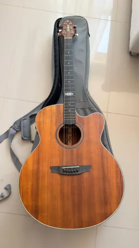 VIOLAO STRINGBERG SJ300C