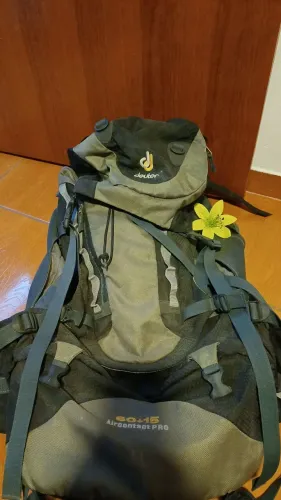 Mochila Deuter Pró 60+15
