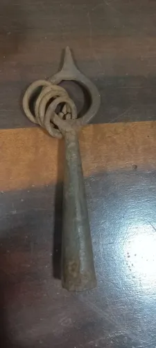 Ferrão de boi