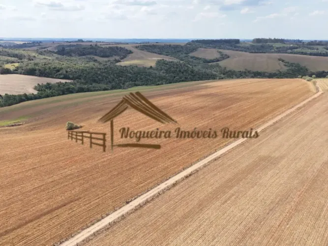 Excelente Fazenda a venda em Itapetininga/SP