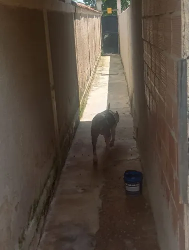 Vendo ou troco por casa na zona oeste