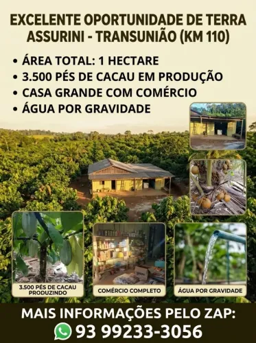 Sitio