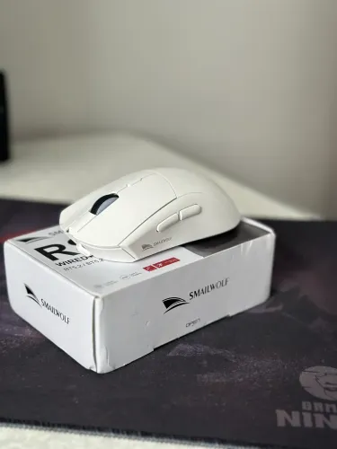 Mouse gamer 