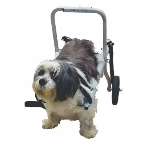 Cadeirinha de rodas pet