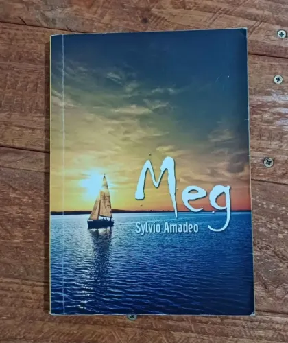 Livro MEG do Sylvio Amadeo