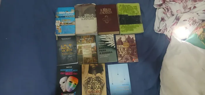 Biblia e livros