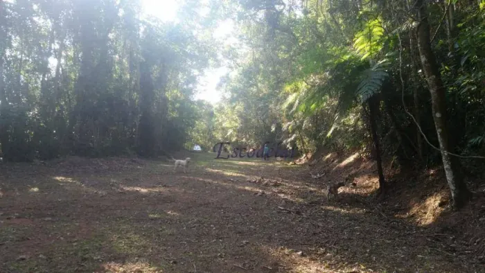 Terreno à venda, 1120 m² por R$ 230.000,00 - Serra da Cantareira - Mairiporã/SP