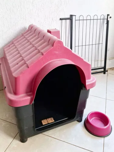 KIT COMPLETO PARA CACHORRO-