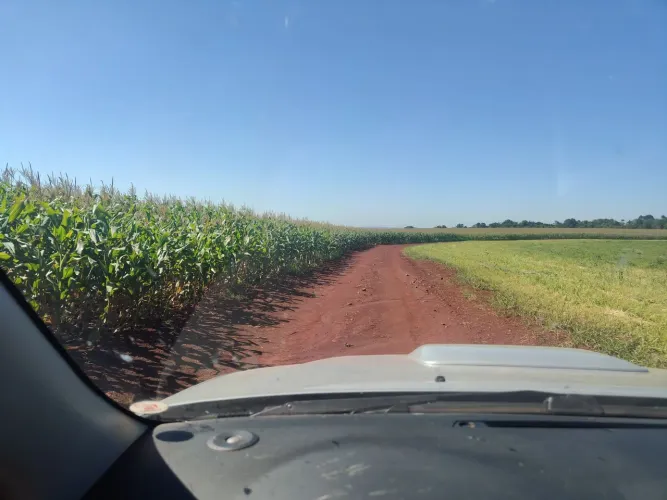 Fazenda 47 Alqueiro 