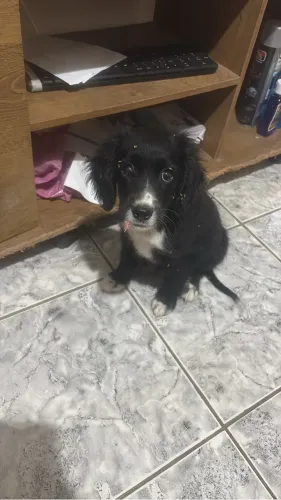 Doação responsável