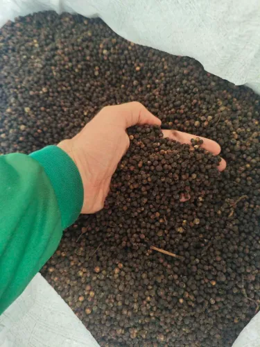 PIMENTA DO REINO - DO PRODUTOR