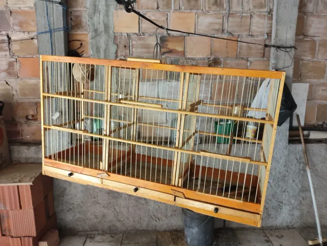 Vendo esse voador com duas divisórias