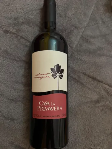 Vinho Cabernet suavignhon casa lá primavera