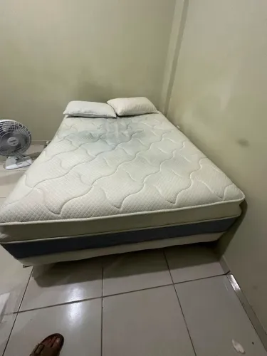 Cama