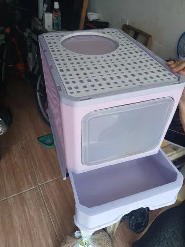 Caixa de areia para gato
