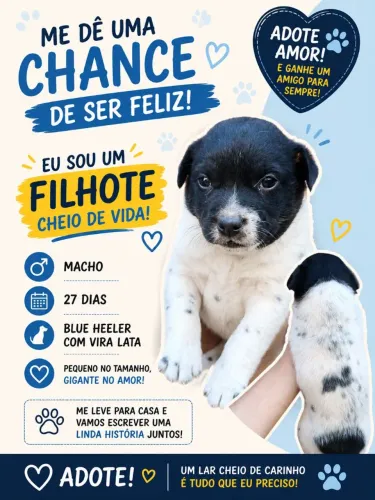 Doação 