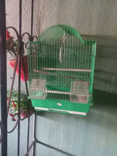 Gaiola