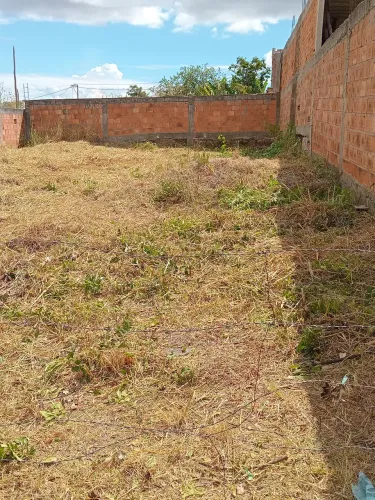 Terreno todo murado 242 mtrs, sendo 11x22