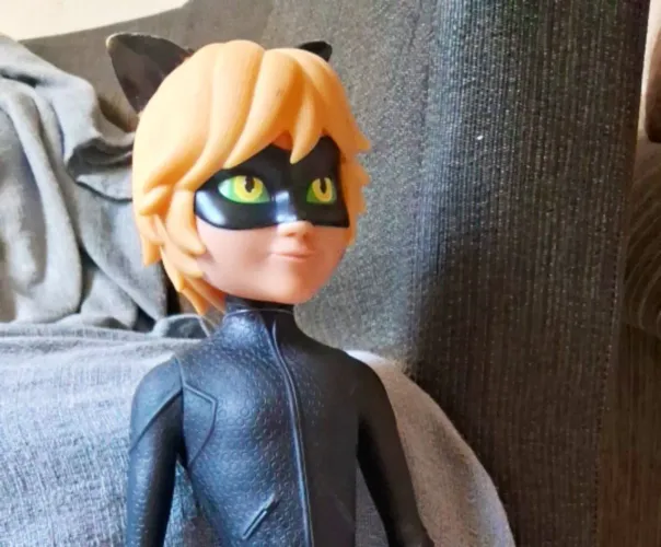 Cat Noir (Ladybug)