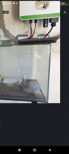Vendo