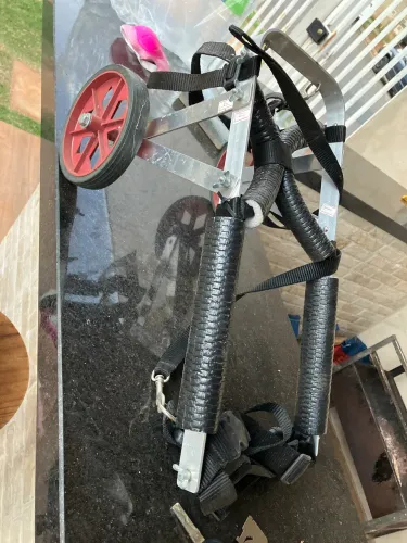 Cadeira de rodas para cachorro