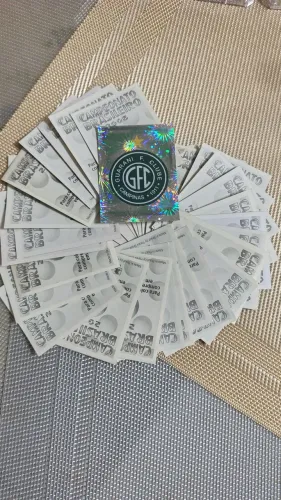 ESCUDINHO BRILHANTE GUARANI com 36 figurinhas Coleção do álbum Campeonato Brasileiro 2006 