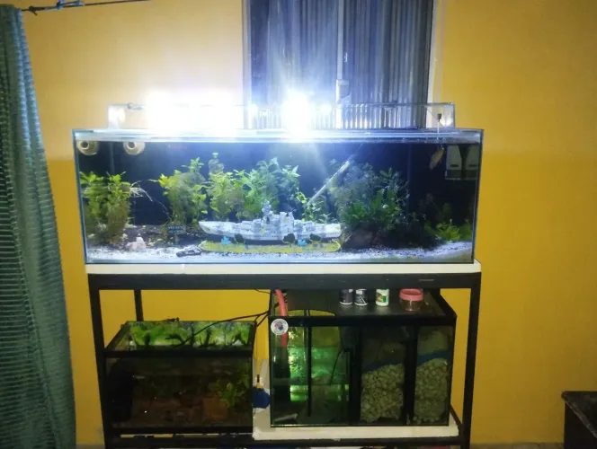 Aquário completo