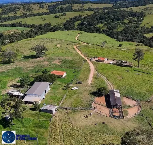 FAZENDA À VENDA EM ITAUÇU-GO | 71,5 ALQUEIRES | PLANA | RICA EM ÁGUA