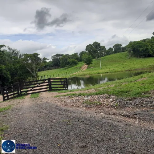 Sítio à Venda em Goiás (GO) 15 Hectares | Beira da Rodovia