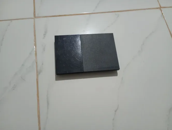 PS2
