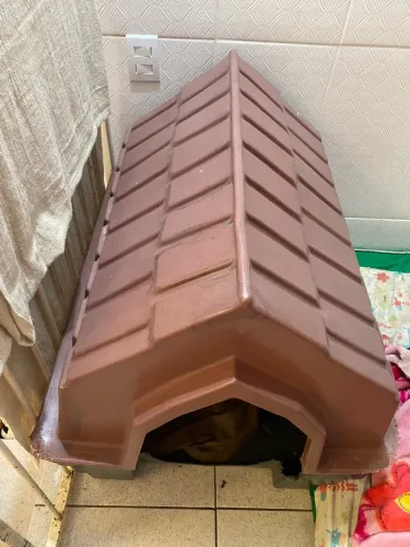 Casinha para Cachorro de Porte Grande
