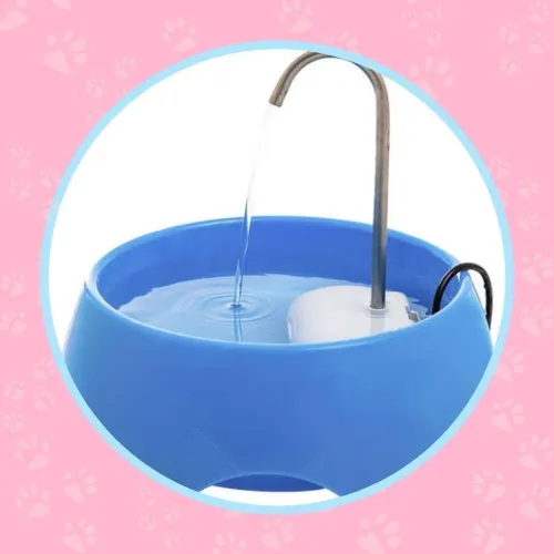 Fonte Aqua Mini Bivolt para Gatos