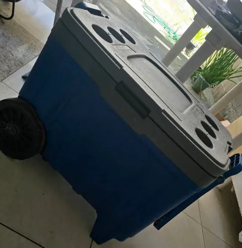 Cooler Com Rodinhas e Alça Transporte | 54L