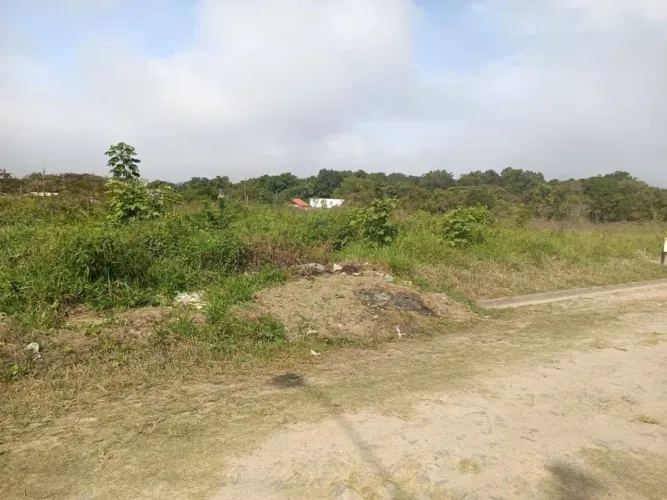 Terreno à Venda em Estância dos Eucalipitos, Peruíbe - SP
