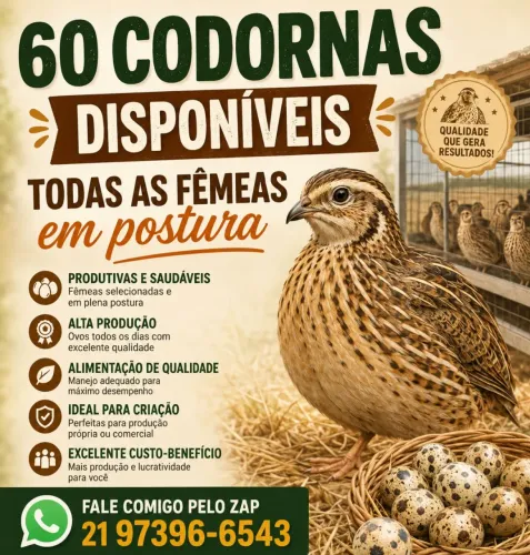 Bichos