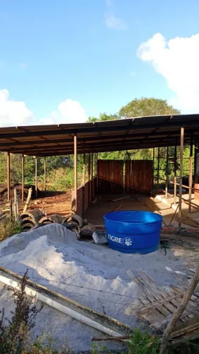 Vendo adubo de bode.