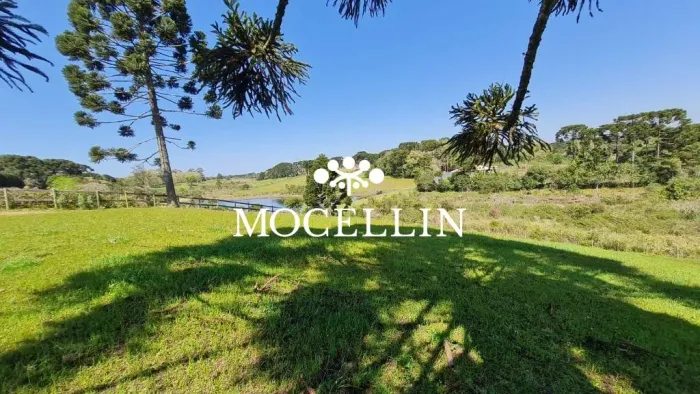 Terreno 21.250 m² rural à venda em Piraquara/ Mocellin Imóveis