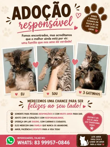 Adoção responsável