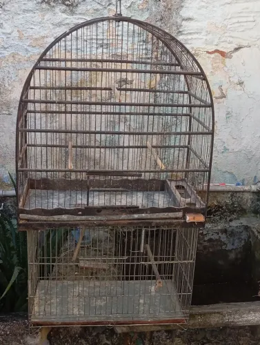 Gaiolas para venda