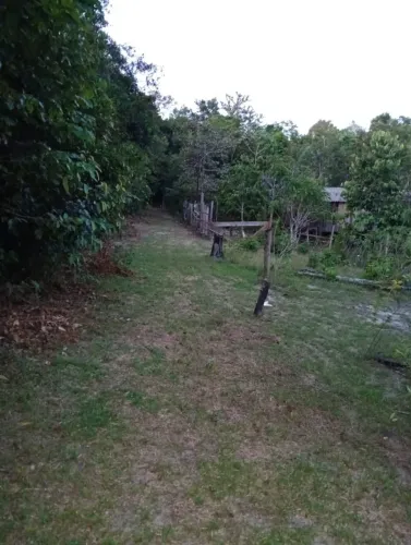 2 terreno disponível